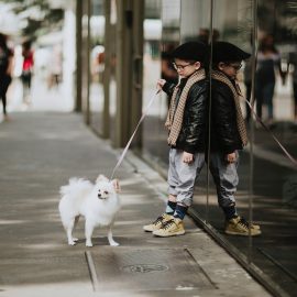 Pourquoi éviter le tartre du chien à votre canin ?