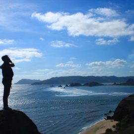 Des astuces pour bien choisir son saourel